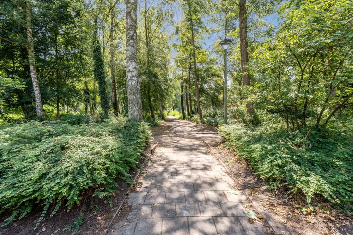 Photo 70 of Cipressendreef 13