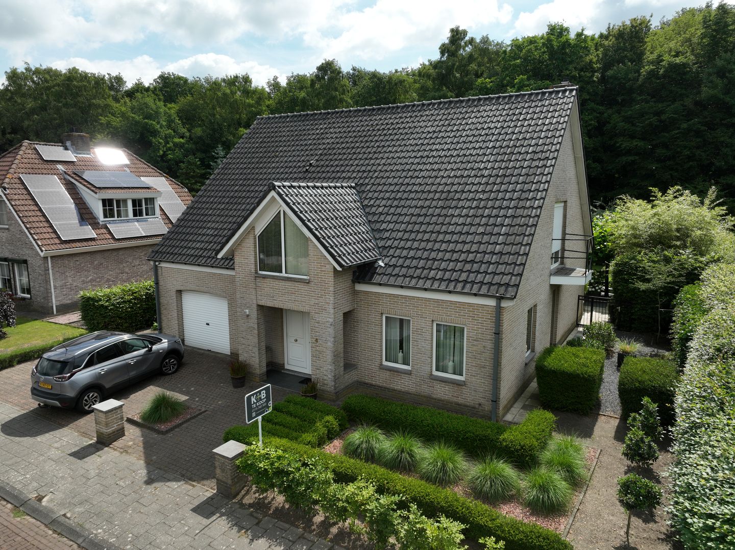 Photo 5 of Koekoeksbloem 4