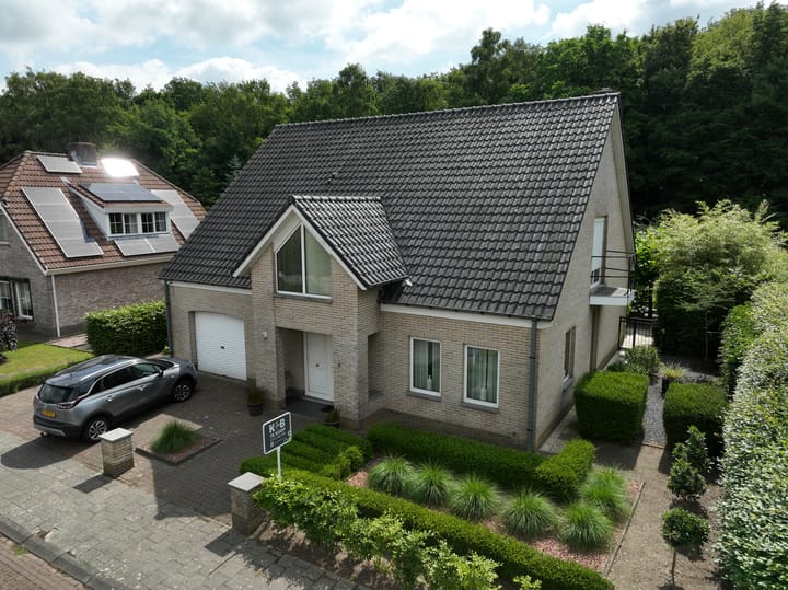 Foto 5 van Koekoeksbloem 4