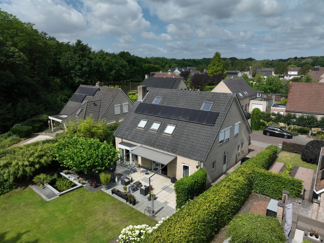 Photo 1 of Koekoeksbloem 4