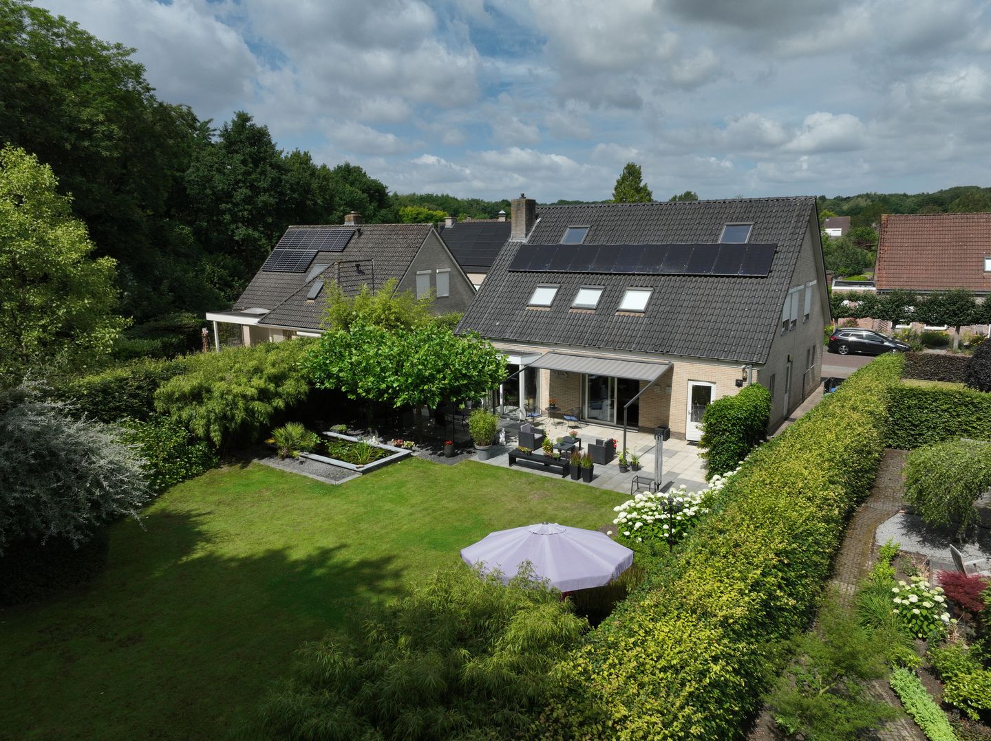 Photo 44 of Koekoeksbloem 4