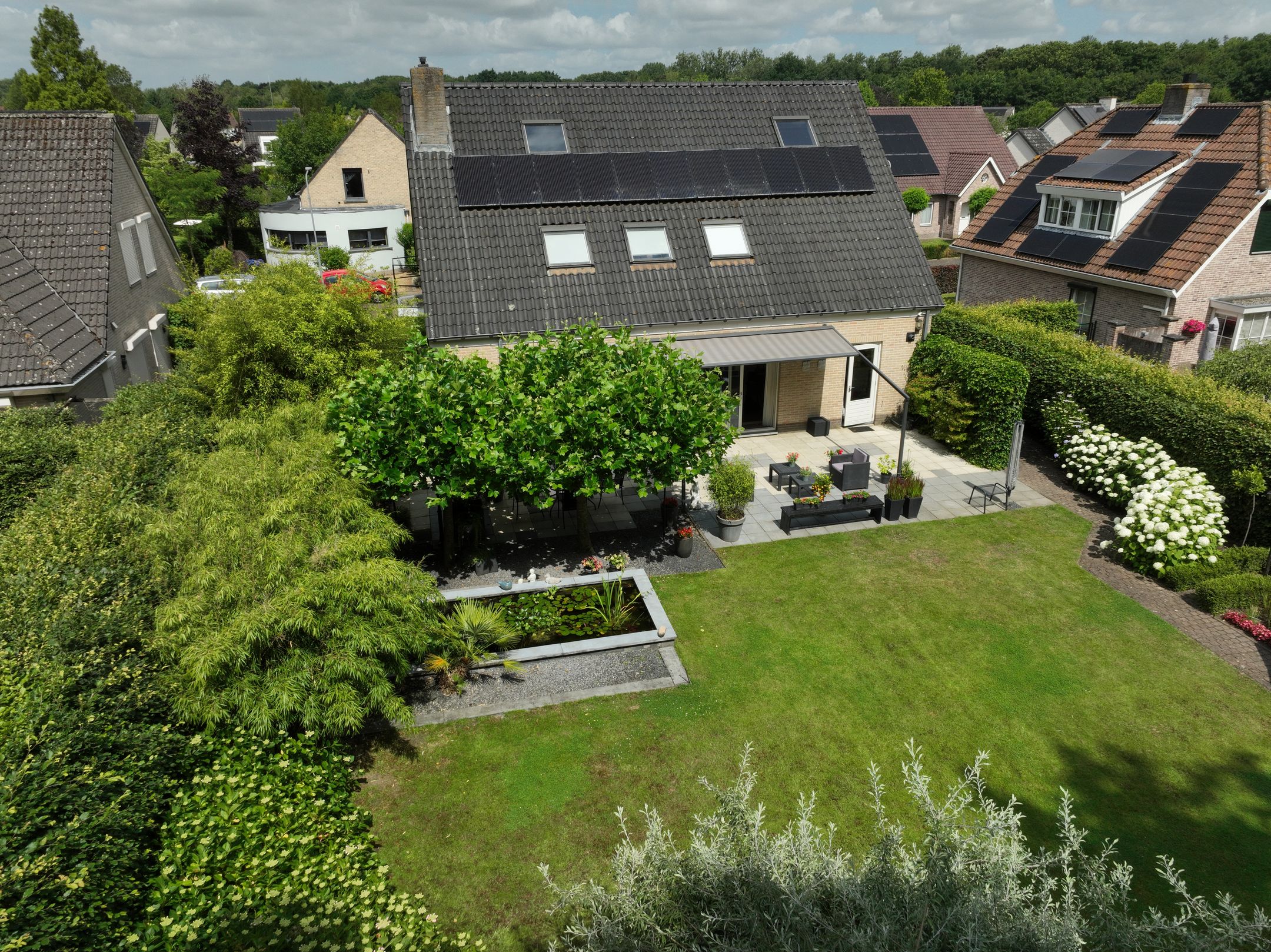 Photo 45 of Koekoeksbloem 4