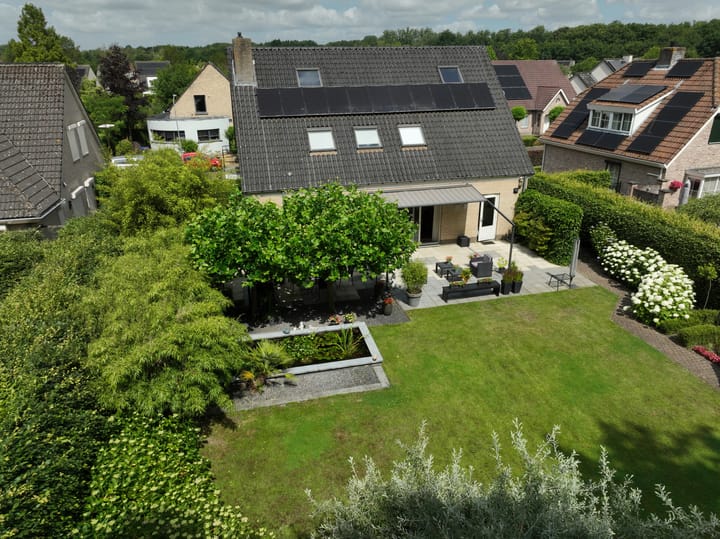 Foto 45 van Koekoeksbloem 4