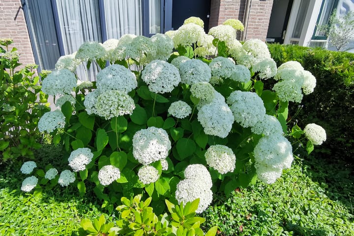 Foto 47 van Markelostraat 32