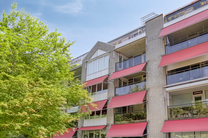 Foto 37 van Dr. Willem Dreeslaan 62