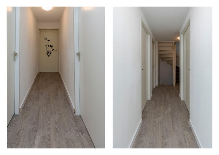 Foto 22 van Ganzekant 26