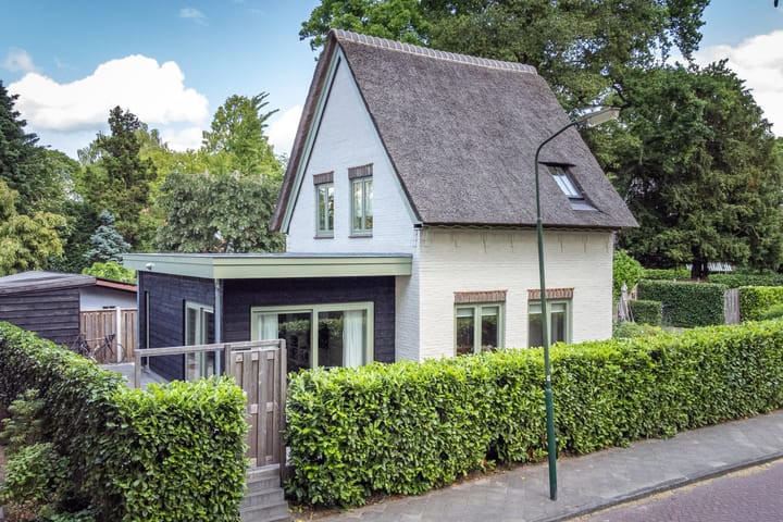 Foto 20 van Prins Hendriklaan 3