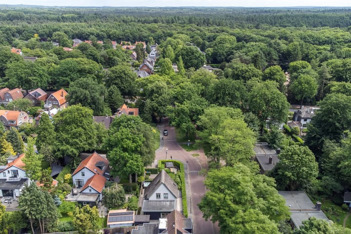 Foto 63 van Prins Hendriklaan 3