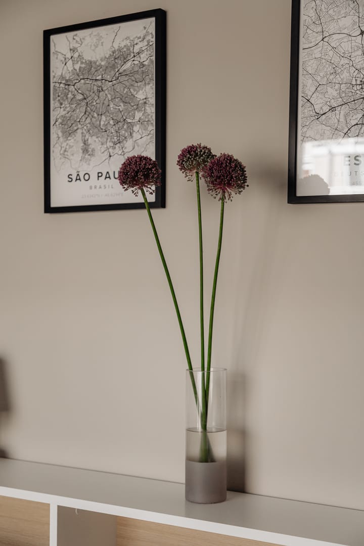 Foto 13 van Vrolikstraat 309-F