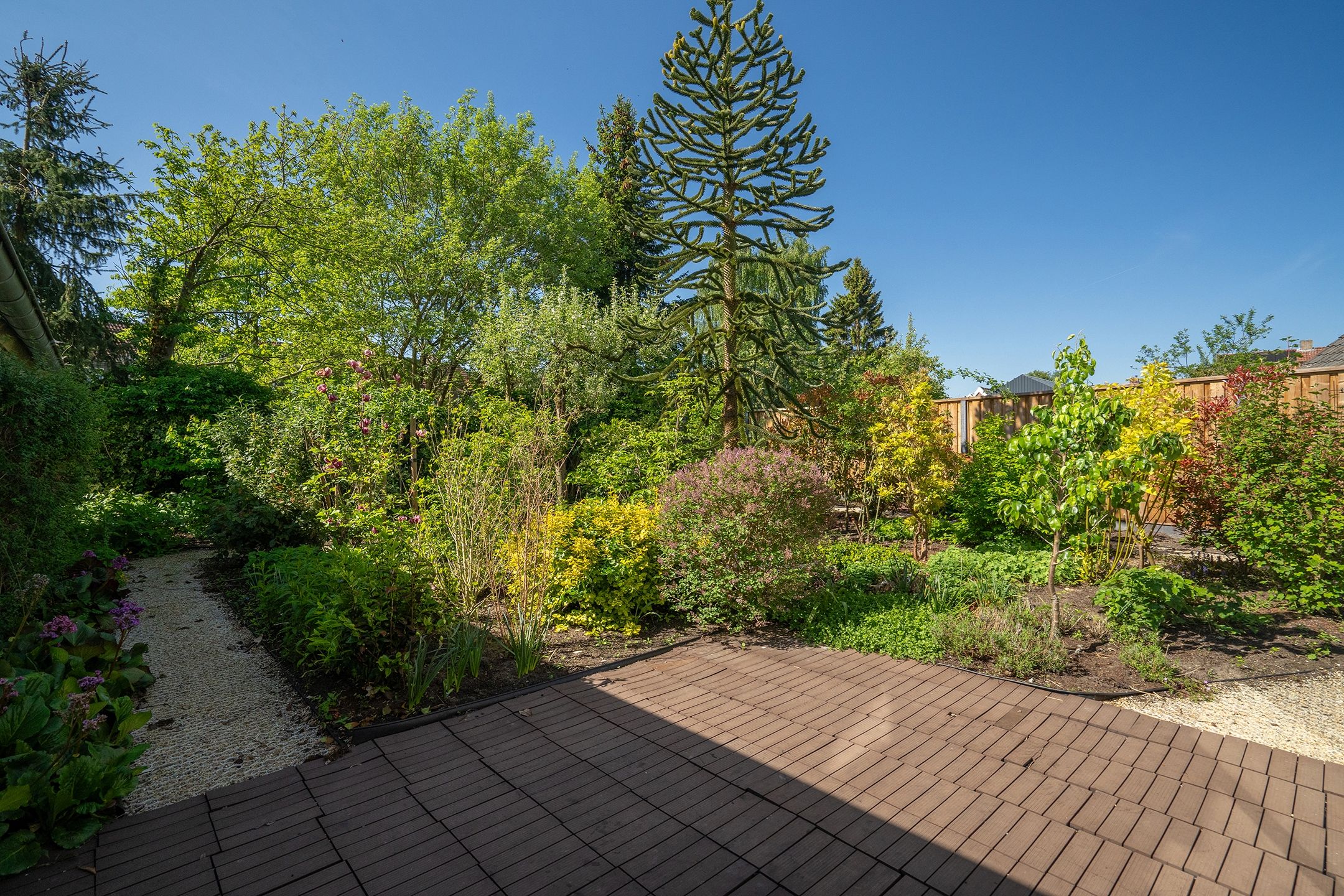 Photo 27 of Wollegrasstraat 26