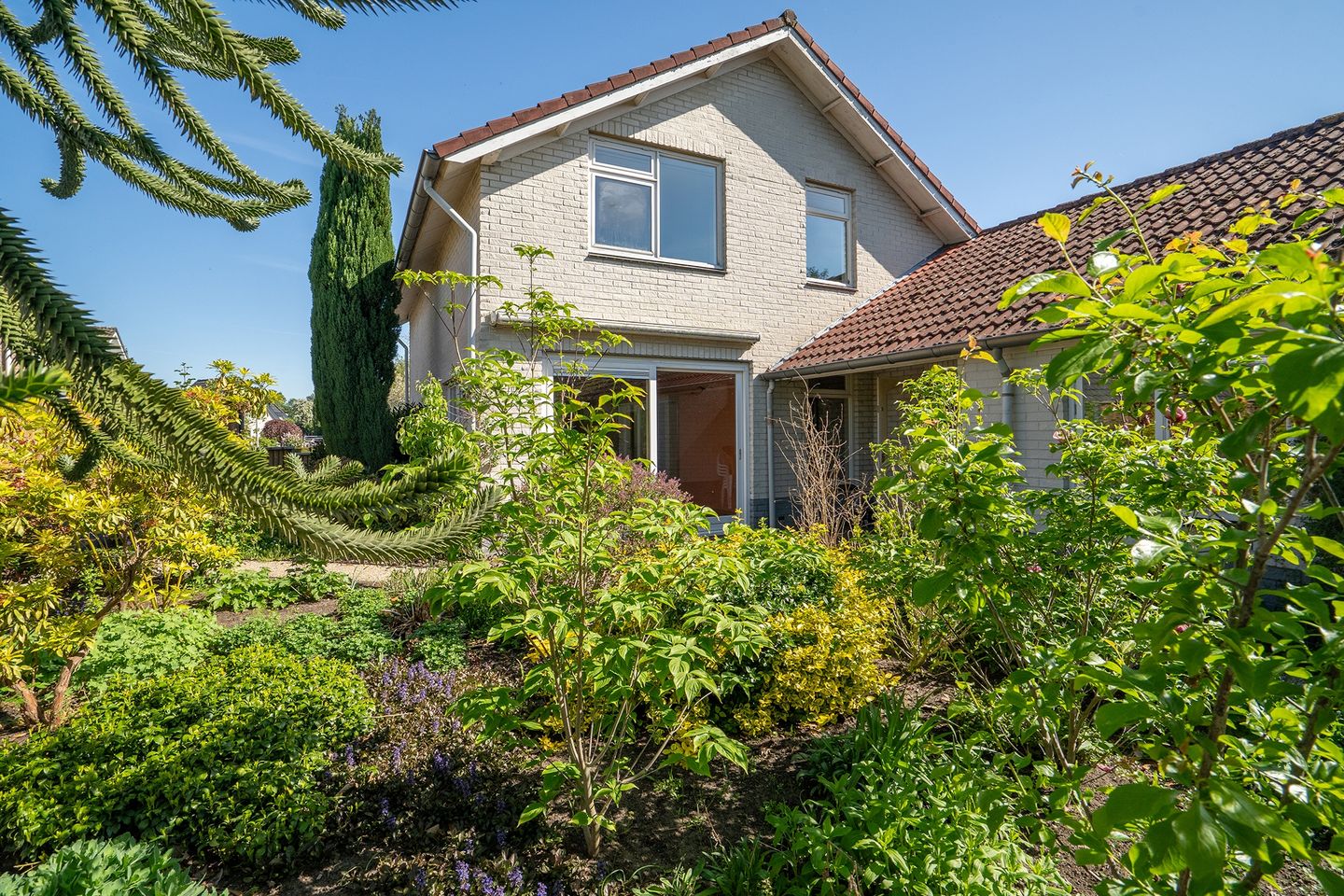 Photo 29 of Wollegrasstraat 26