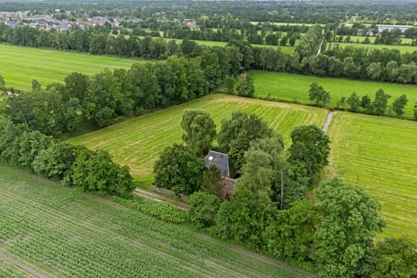 undefined main image