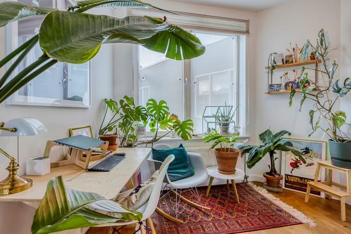 Foto 4 van Tolhuisstraat 8-A