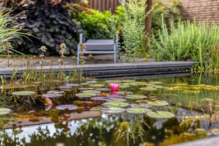 Foto 39 van Haarspit 55