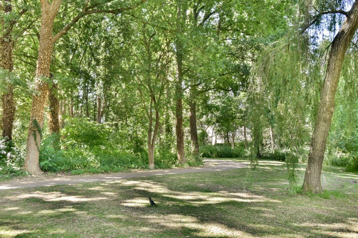 Photo 28 of Jacob van Ruisdaelweg 4