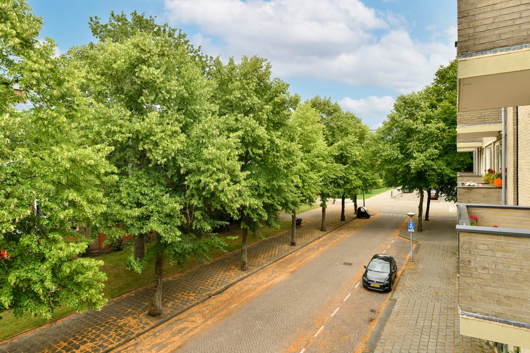 Foto 13 van Gijsbrecht van IJselsteinstraat 231