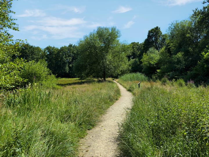 Foto 71 van Sluijtersstraat 1