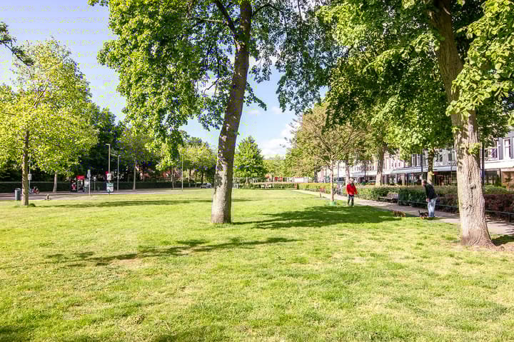 Foto 33 van Dr. Leijdsstraat 15