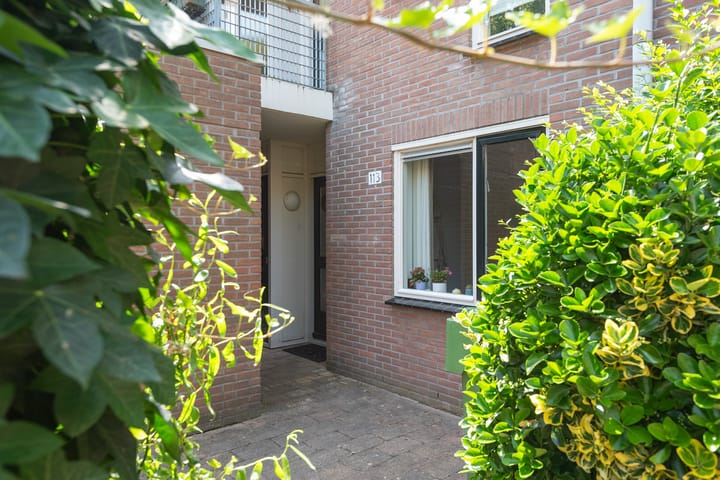 Foto 24 van Schoenmakerstraat 113