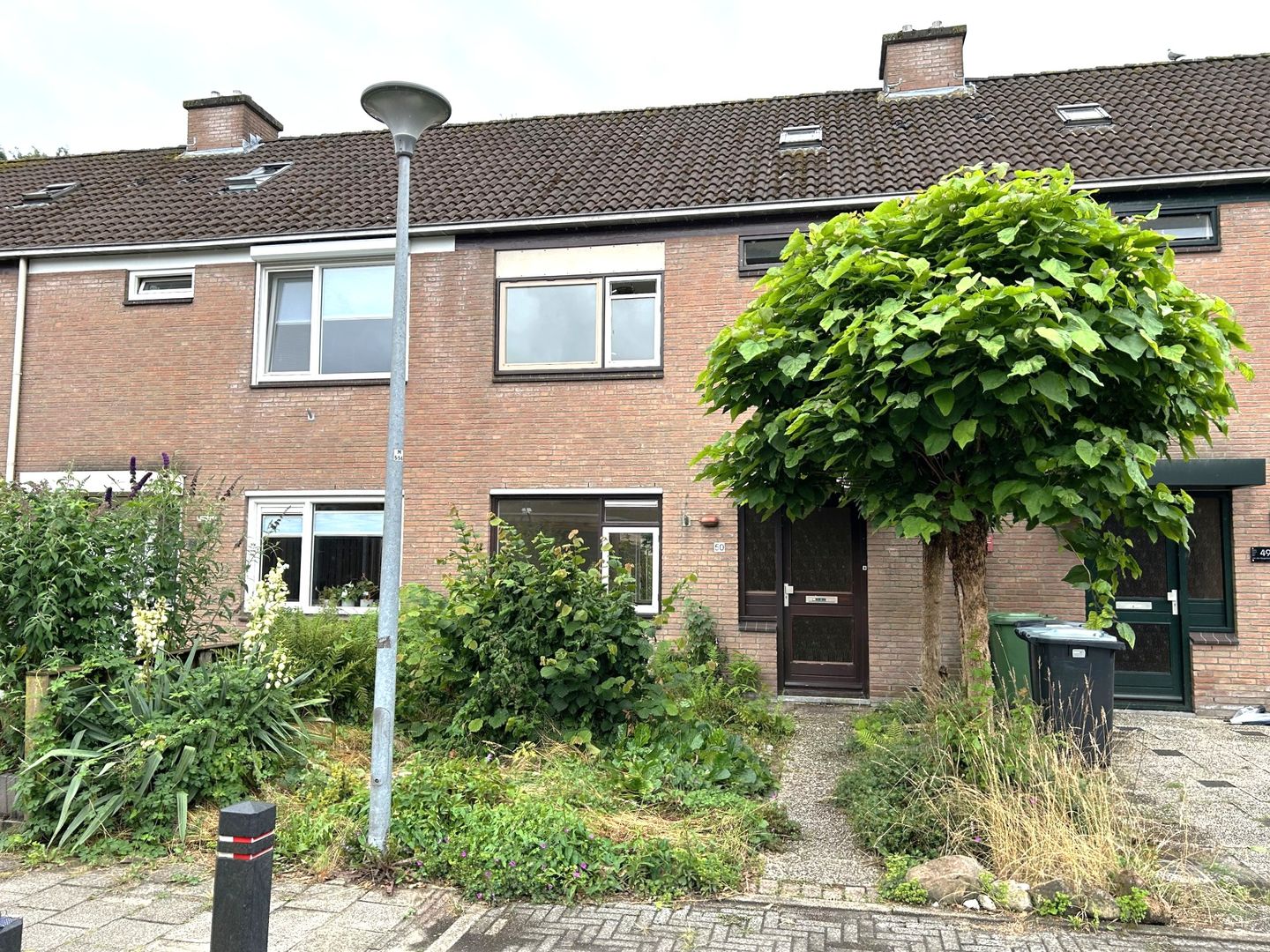 Foto 1 van Slechtvalk 50