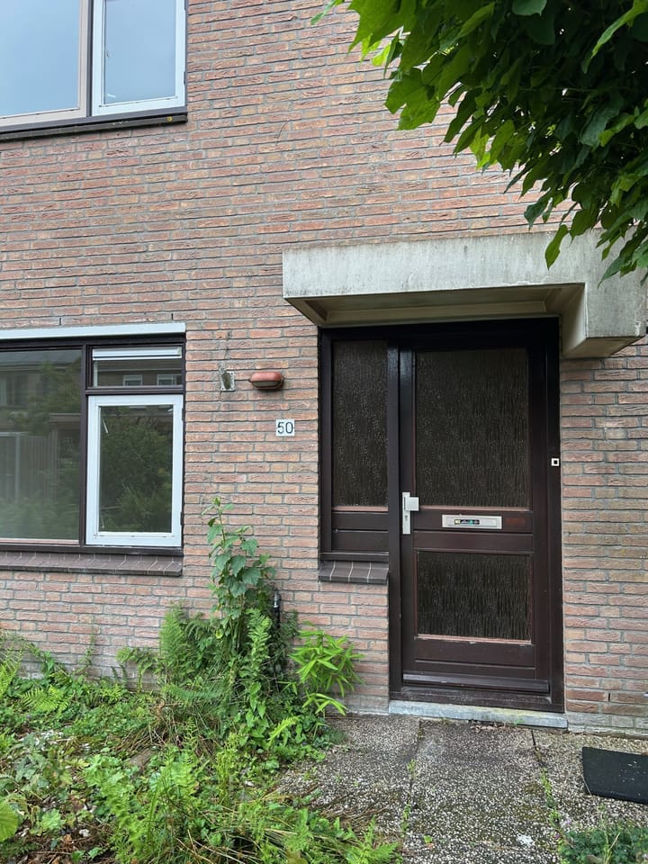 Foto 2 van Slechtvalk 50