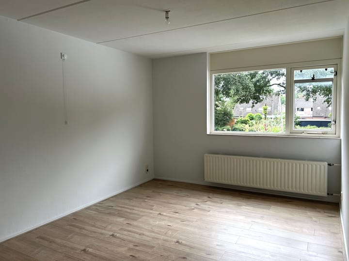 Foto 19 van Slechtvalk 50