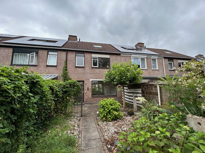 Foto 32 van Slechtvalk 50