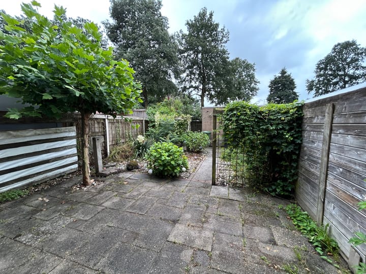 Foto 33 van Slechtvalk 50