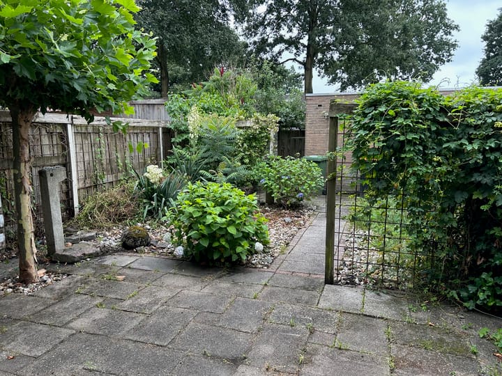 Foto 34 van Slechtvalk 50