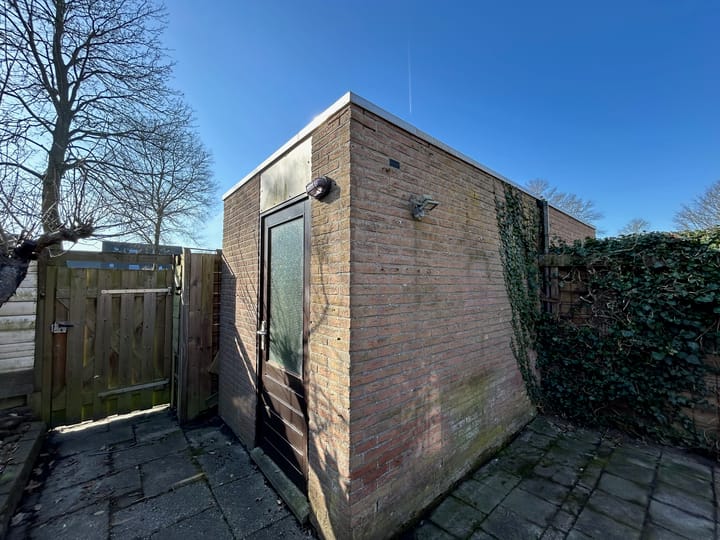 Foto 35 van Slechtvalk 50