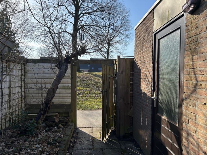 Foto 36 van Slechtvalk 50