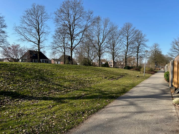 Foto 38 van Slechtvalk 50