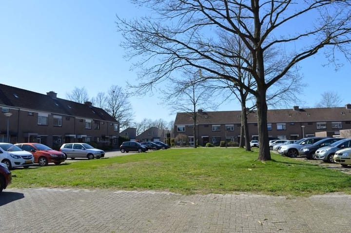 Foto 39 van Slechtvalk 50