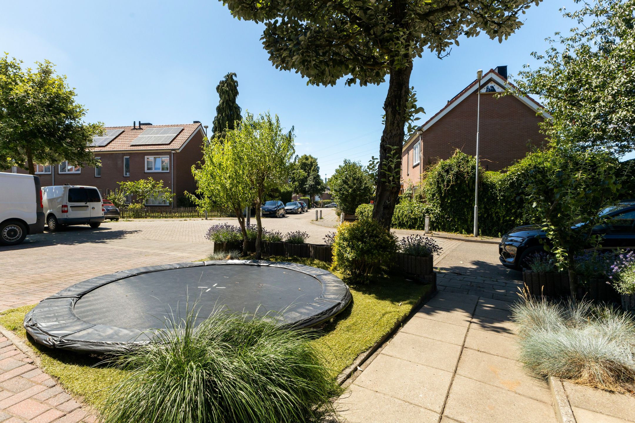 Foto 42 van Borneolaan 15