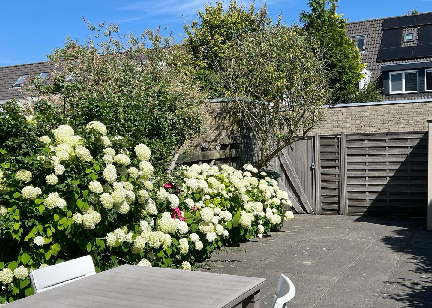 Foto 35 van Gaasterland 31