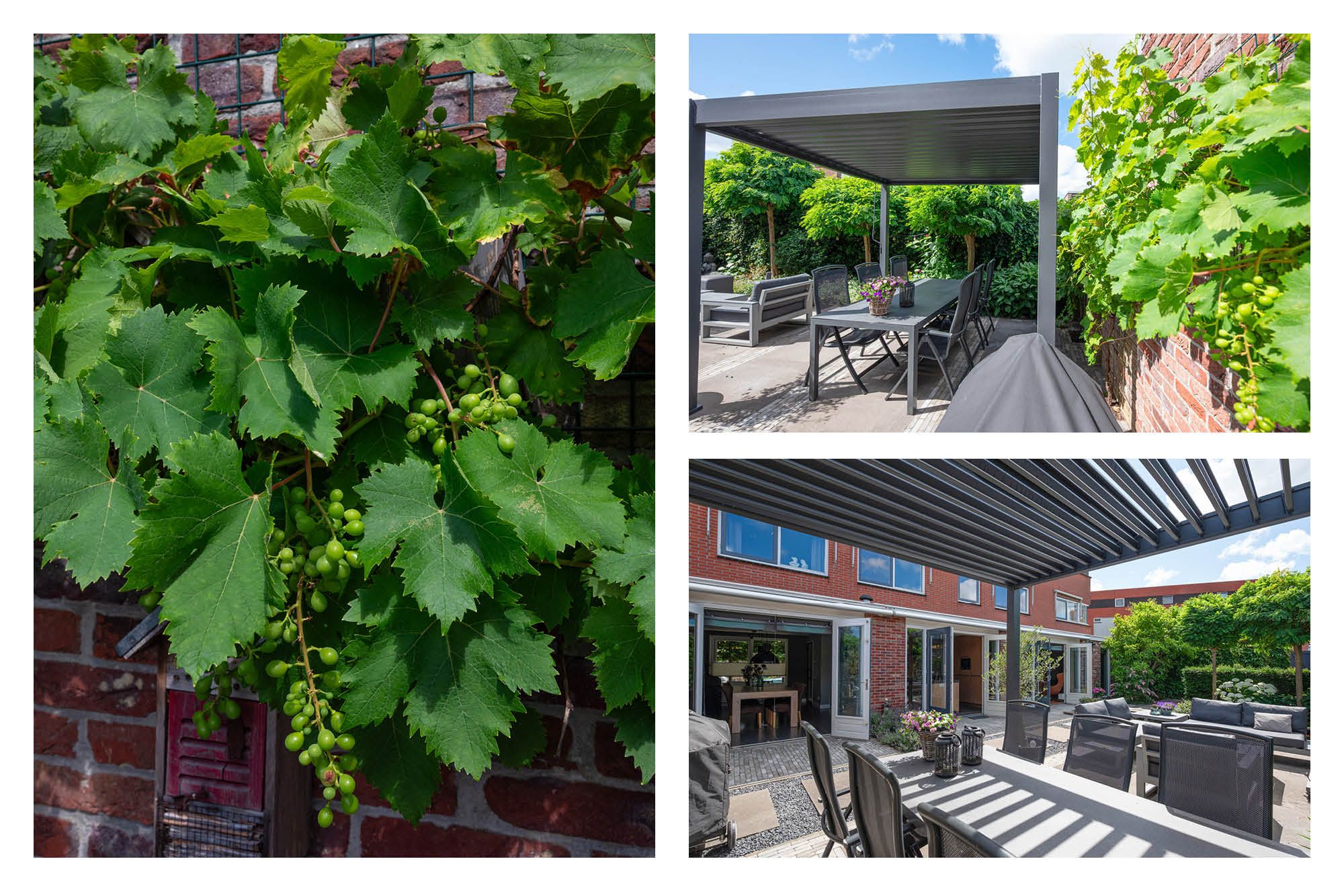 Foto 27 van Morgen 58