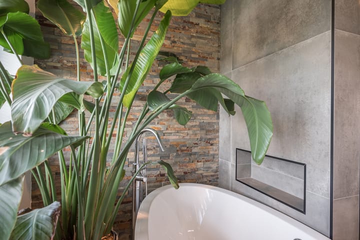 Foto 46 van Morgen 58