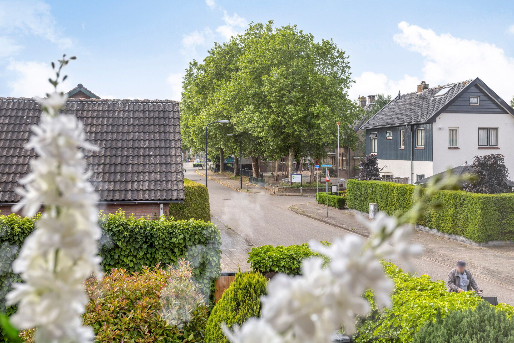 Foto 36 van Johan de Wittstraat 30