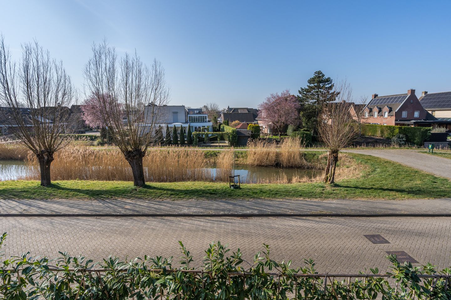 Photo 20 of Gouwakker 45