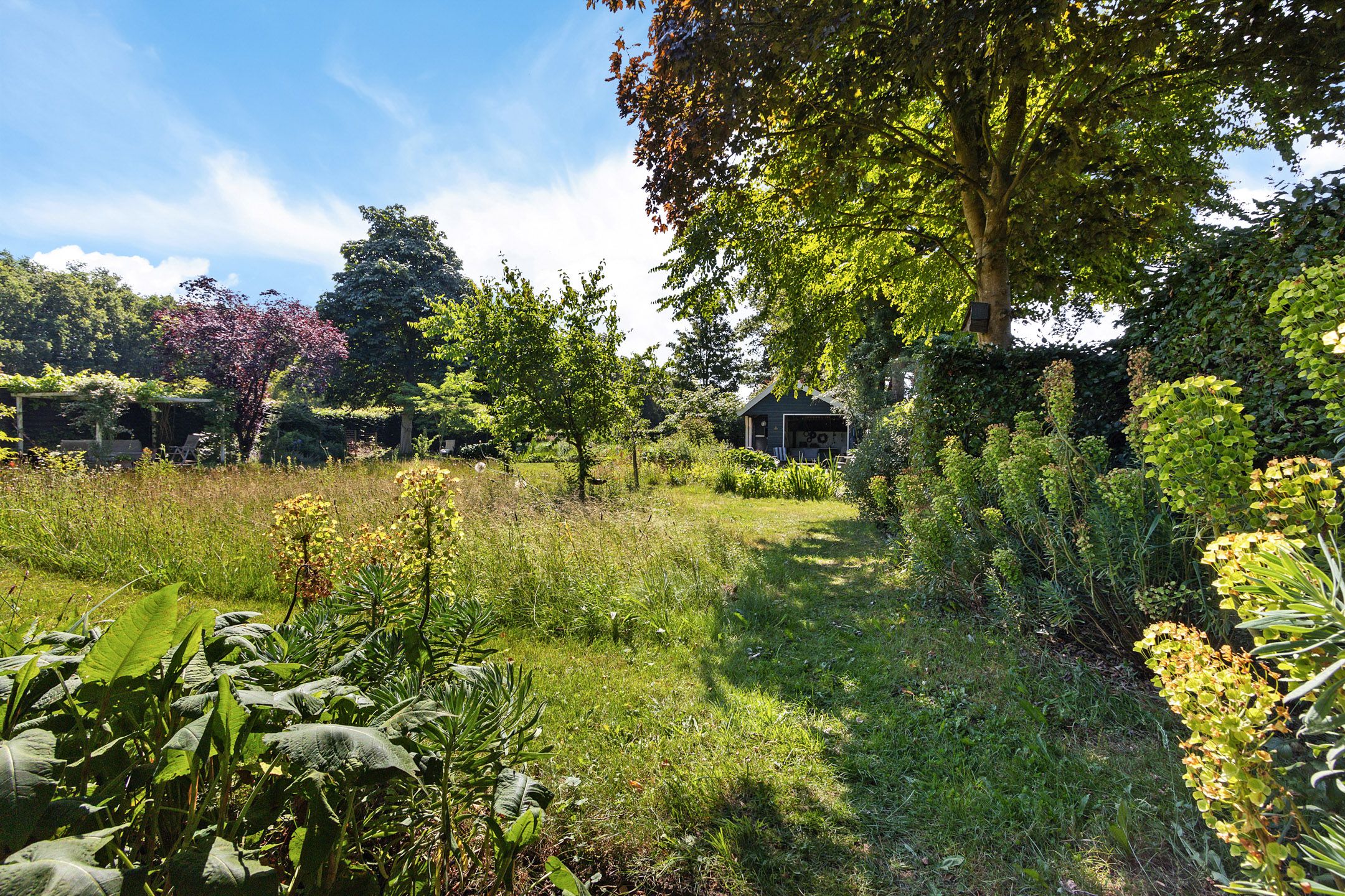 Foto 57 van Buitenweg 18