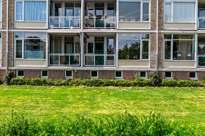 Foto 5 van Denenburg 12