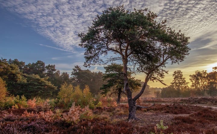 Photo 25 of Siebengewaldseweg 84