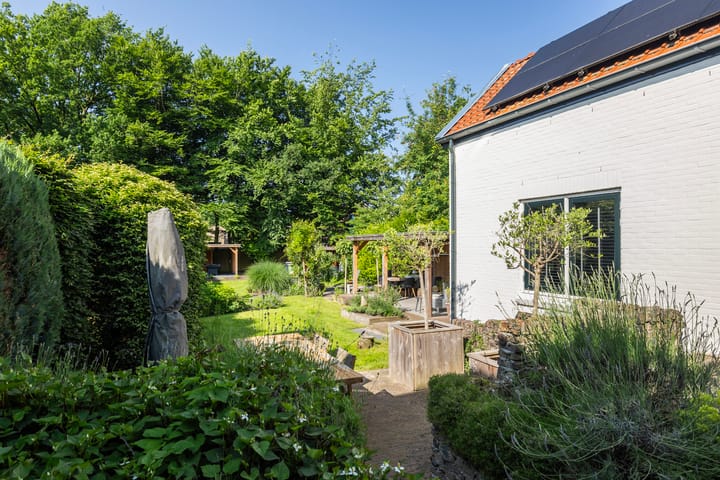 Foto 37 van Beukenlaan 40