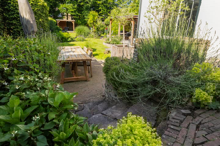 Foto 38 van Beukenlaan 40