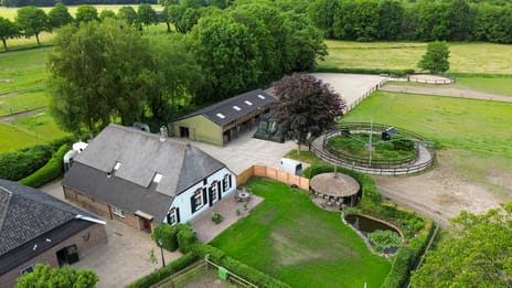 undefined main image