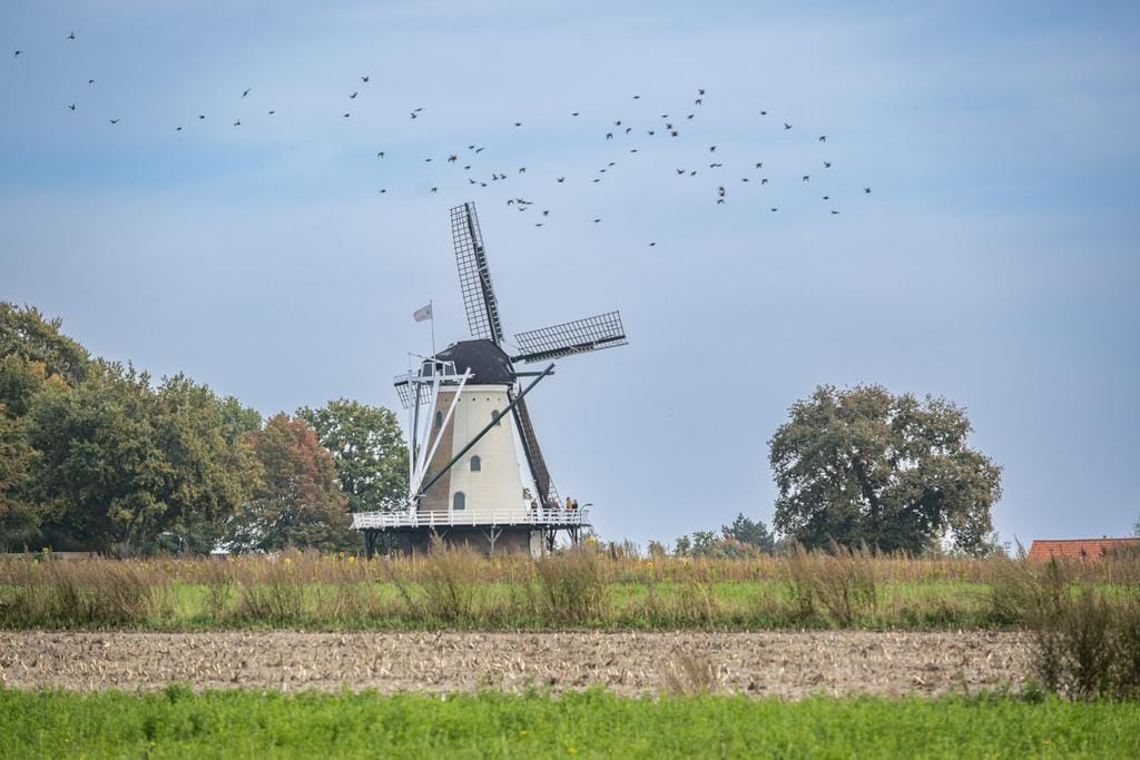 Foto 35 van Enghenbergsteeg 8