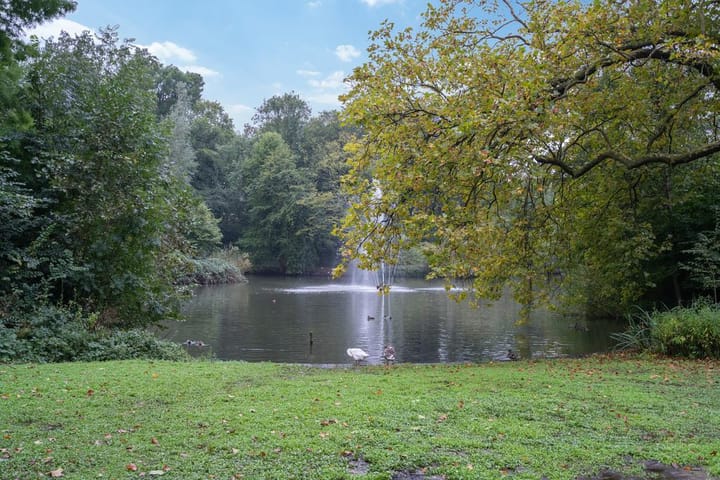 Foto 23 van Amsterdamsestraatweg 219-BSA