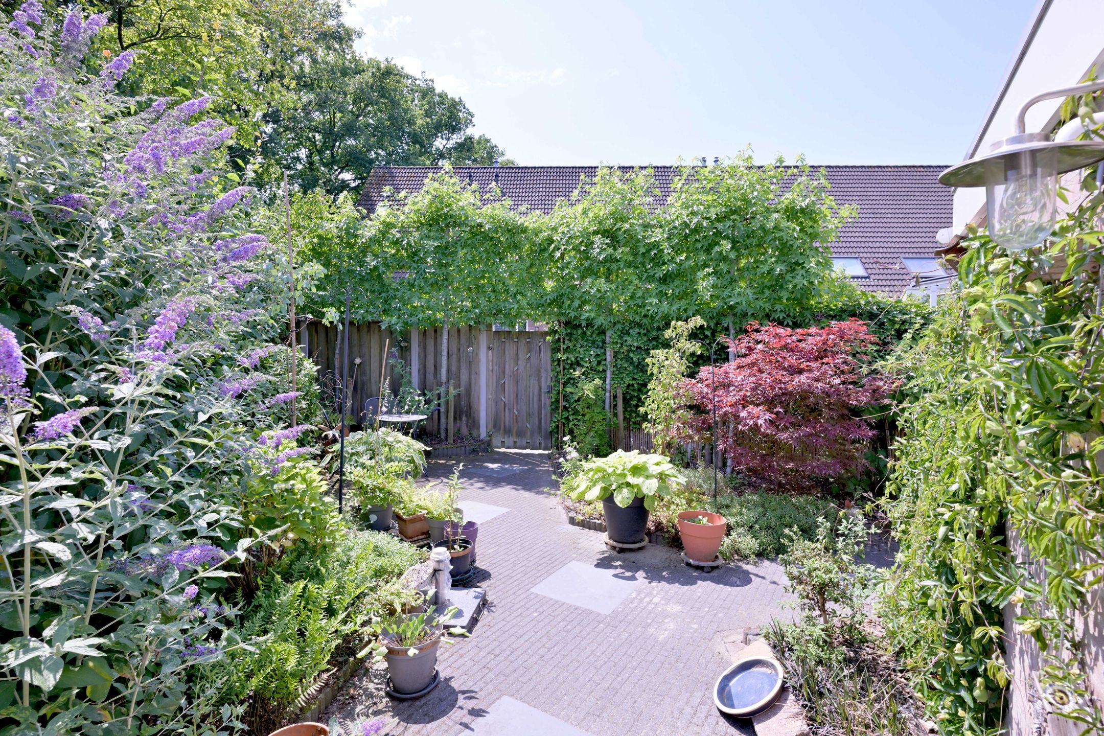 Foto 39 van Esdoornlaan 28