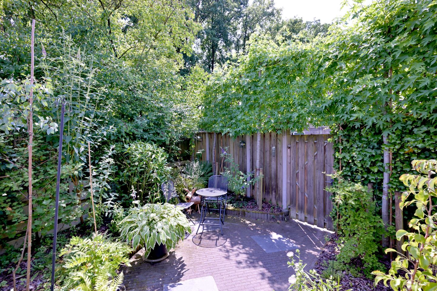 Foto 40 van Esdoornlaan 28