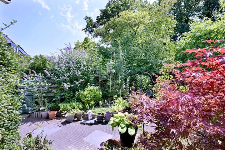 Foto 41 van Esdoornlaan 28